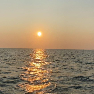 董卿被黑人玩到高潮
