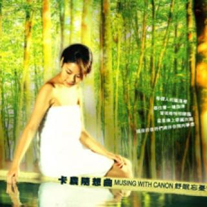 董卿被黑人玩到高潮
